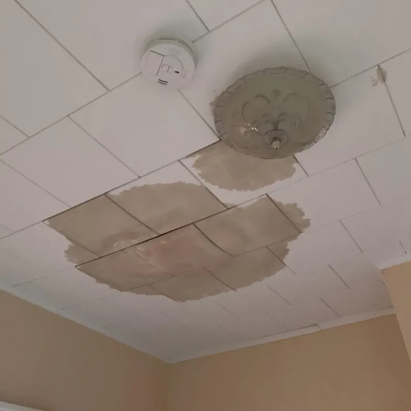 Ceiling Water Damage Repair in Warren, OH
