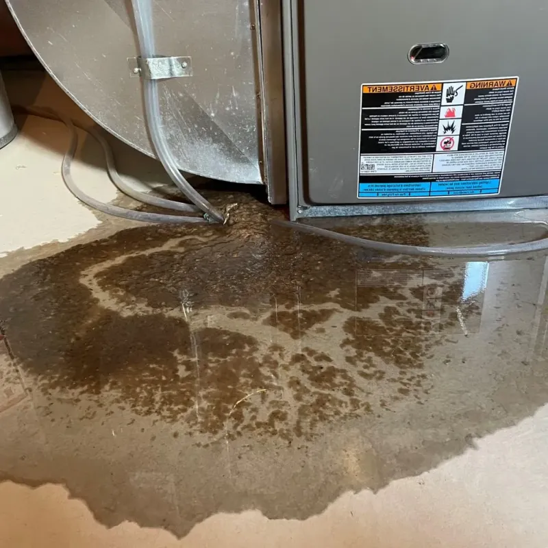 Pipe Burst and Leak Restoration in Warren, OH