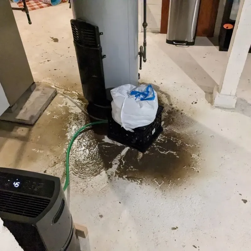 Sewage Backup Cleanup Service in Warren, OH
